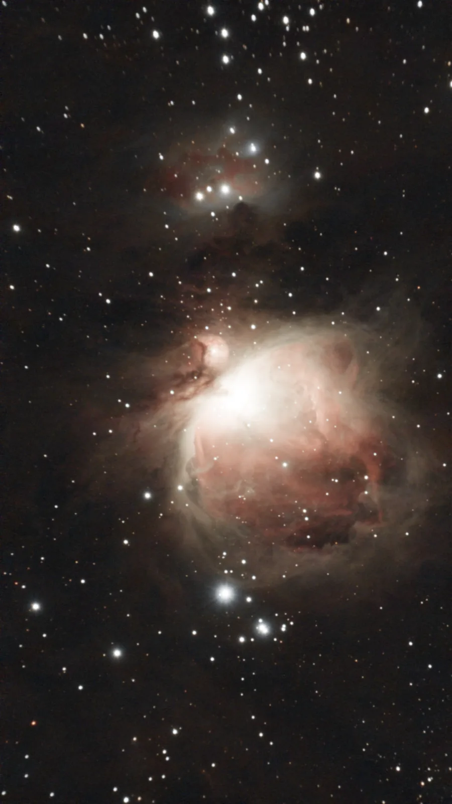 M42 Orion Nebula — raw capture vs. finished